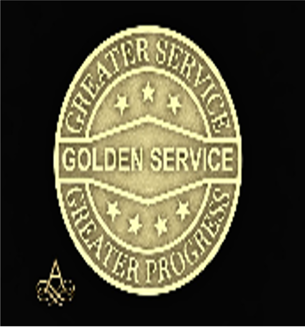 Golden Service Pin