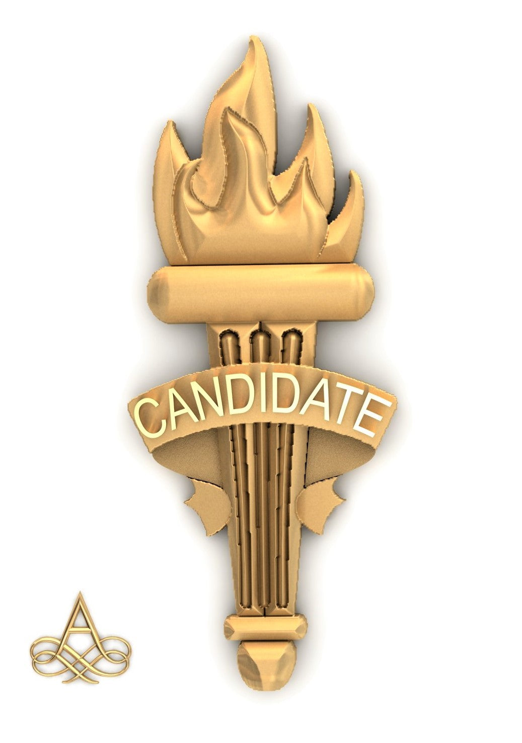 Candidate TORCH Lapel Pin